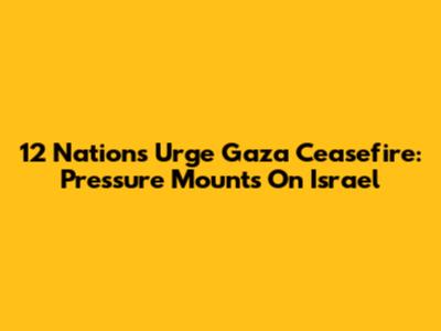 12 Nations Urge Gaza Ceasefire: Pressure Mounts On Israel