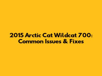 2015 Arctic Cat Wildcat 700: Common Issues & Fixes