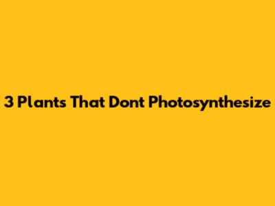 3 Plants That Don't Photosynthesize