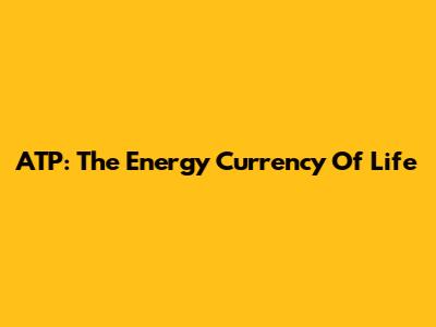ATP: The Energy Currency Of Life