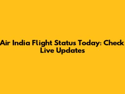 Air India Flight Status Today: Check Live Updates