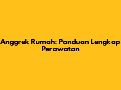 Anggrek Rumah: Panduan Lengkap Perawatan