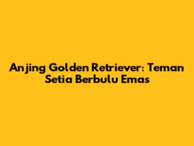 Anjing Golden Retriever: Teman Setia Berbulu Emas