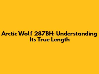 Arctic Wolf 287BH: Understanding Its True Length