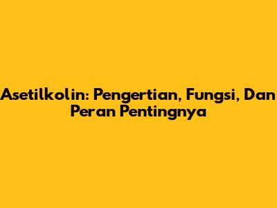 Asetilkolin: Pengertian, Fungsi, Dan Peran Pentingnya