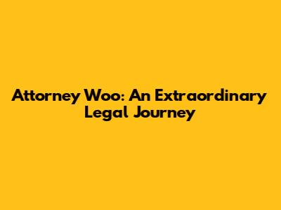 Attorney Woo: An Extraordinary Legal Journey