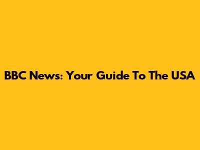 BBC News: Your Guide To The USA