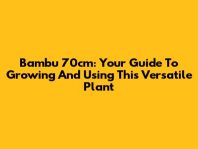 Bambu 70cm: Your Guide To Growing And Using This Versatile Plant