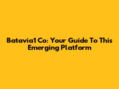 Batavia1 Co: Your Guide To This Emerging Platform