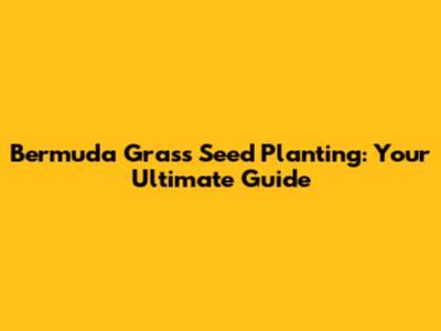Bermuda Grass Seed Planting: Your Ultimate Guide