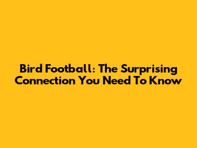 Bird Football: The Surprising Connection You Need To Know