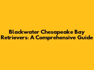 Blackwater Chesapeake Bay Retrievers: A Comprehensive Guide