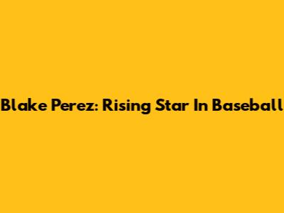 Blake Perez: Rising Star In Baseball