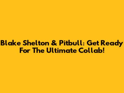 Blake Shelton & Pitbull: Get Ready For The Ultimate Collab!