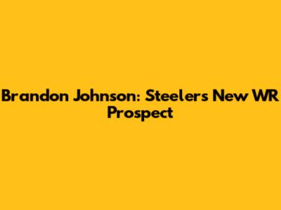 Brandon Johnson: Steelers' New WR Prospect