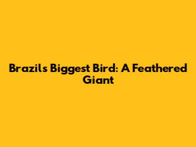Brazil's Biggest Bird: A Feathered Giant
