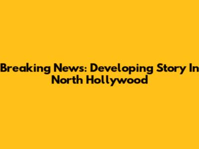 Breaking News: Developing Story In North Hollywood