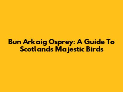 Bun Arkaig Osprey: A Guide To Scotland's Majestic Birds