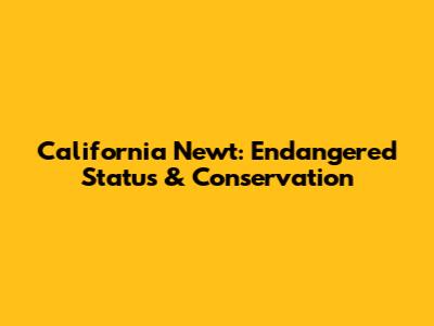 California Newt: Endangered Status & Conservation