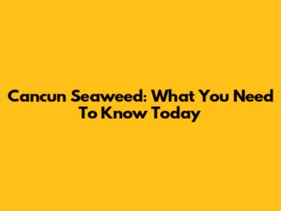 Cancun Seaweed: What You Need To Know Today