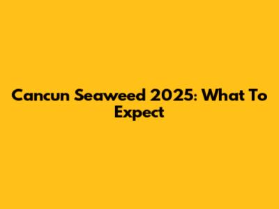 Cancun Seaweed 2025: What To Expect