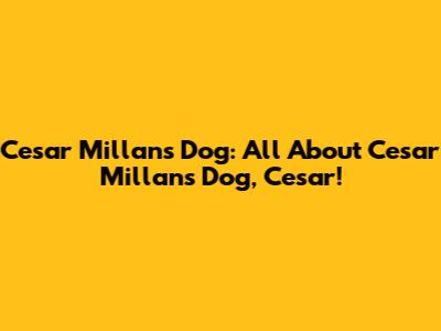 Cesar Millan's Dog: All About Cesar Millan's Dog, Cesar!