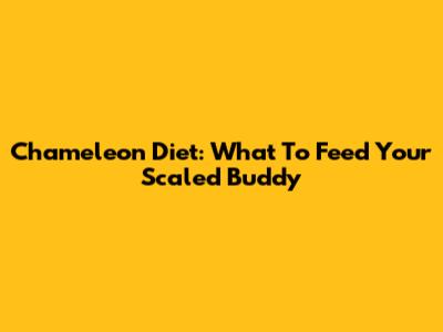 Chameleon Diet: What To Feed Your Scaled Buddy