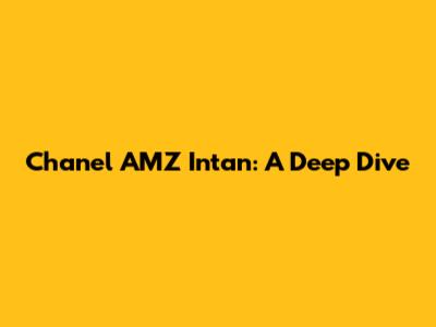Chanel AMZ Intan: A Deep Dive