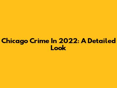 Chicago Crime In 2022: A Detailed Look