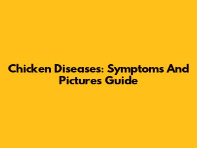 Chicken Diseases: Symptoms And Pictures Guide