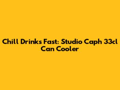 Chill Drinks Fast: Studio Caph 33cl Can Cooler
