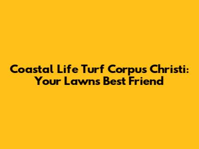Coastal Life Turf Corpus Christi: Your Lawn's Best Friend