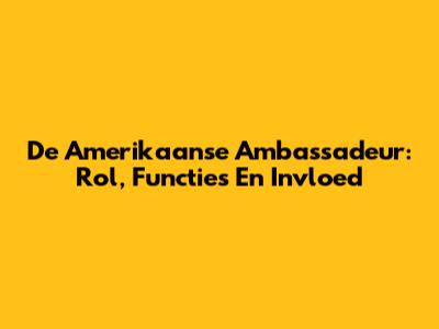 De Amerikaanse Ambassadeur: Rol, Functies En Invloed