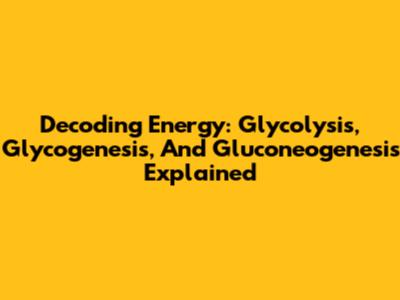 Decoding Energy: Glycolysis, Glycogenesis, And Gluconeogenesis Explained