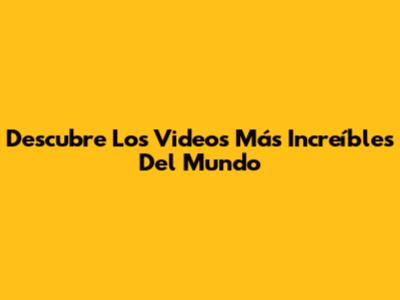 Descubre Los Videos Más Increíbles Del Mundo