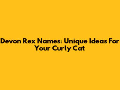 Devon Rex Names: Unique Ideas For Your Curly Cat