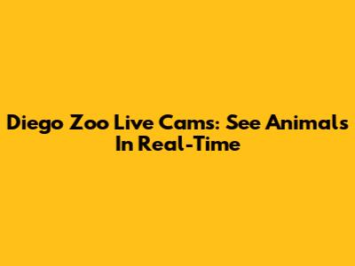 Diego Zoo Live Cams: See Animals In Real-Time