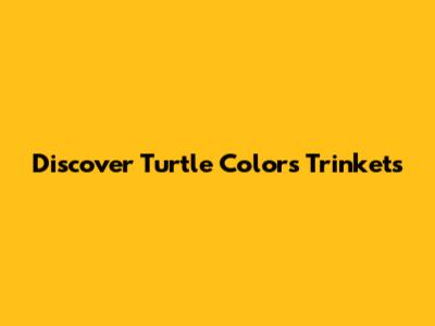 Discover Turtle Colors Trinkets