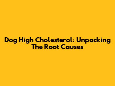 Dog High Cholesterol: Unpacking The Root Causes