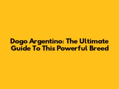Dogo Argentino: The Ultimate Guide To This Powerful Breed