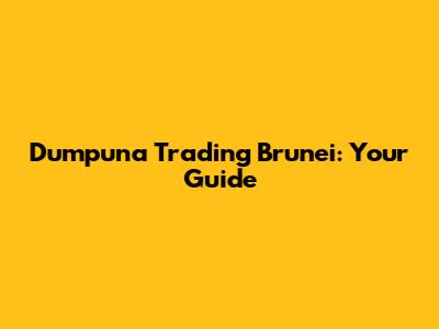 Dumpuna Trading Brunei: Your Guide