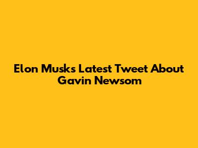 Elon Musk's Latest Tweet About Gavin Newsom