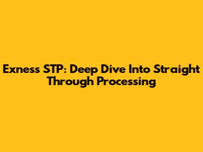 Exness STP: Deep Dive Into Straight Through Processing