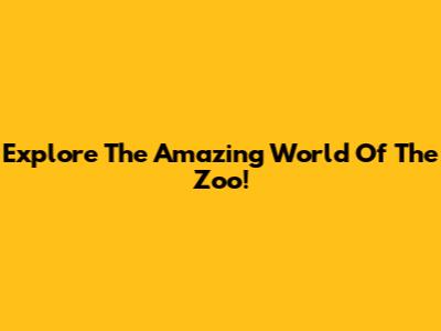 Explore The Amazing World Of The Zoo!