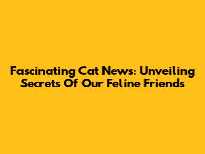 Fascinating Cat News: Unveiling Secrets Of Our Feline Friends