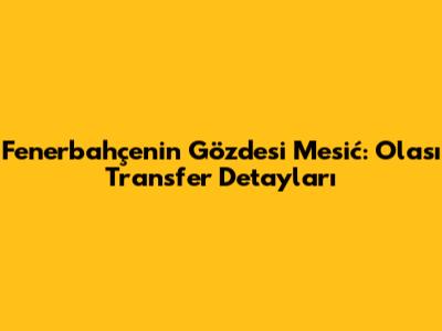 Fenerbahçe'nin Gözdesi Mesić: Olası Transfer Detayları