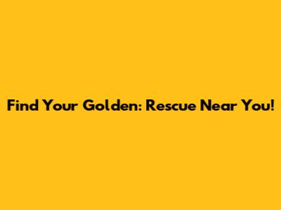 Find Your Golden: Rescue Near You!