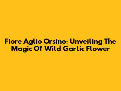 Fiore Aglio Orsino: Unveiling The Magic Of Wild Garlic Flower