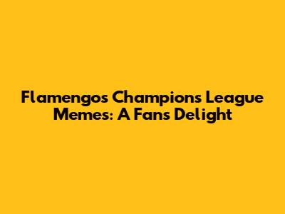 Flamengo's Champions League Memes: A Fan's Delight