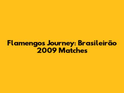 Flamengo's Journey: Brasileirão 2009 Matches